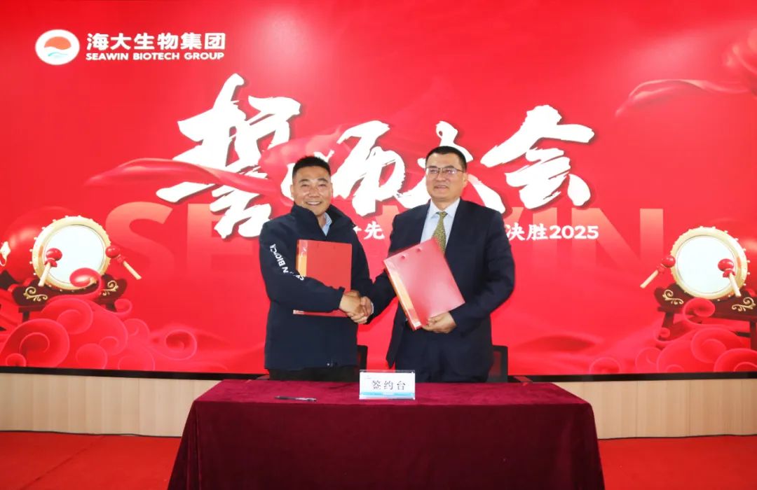 凯发k8一触即发集团举行2024年度总结表彰大会