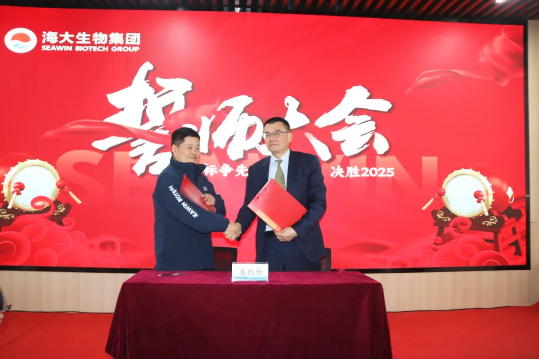 凯发k8一触即发集团举行2024年度总结表彰大会