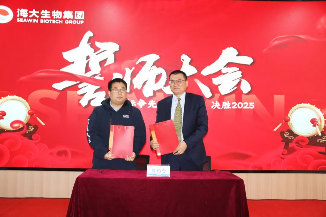 凯发k8一触即发集团举行2024年度总结表彰大会