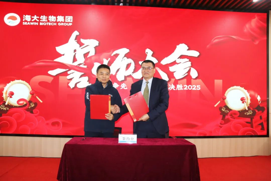 凯发k8一触即发集团举行2024年度总结表彰大会