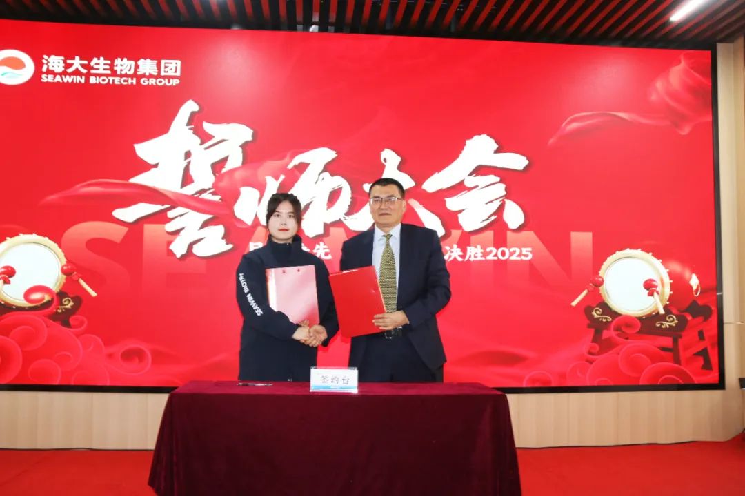 凯发k8一触即发集团举行2024年度总结表彰大会