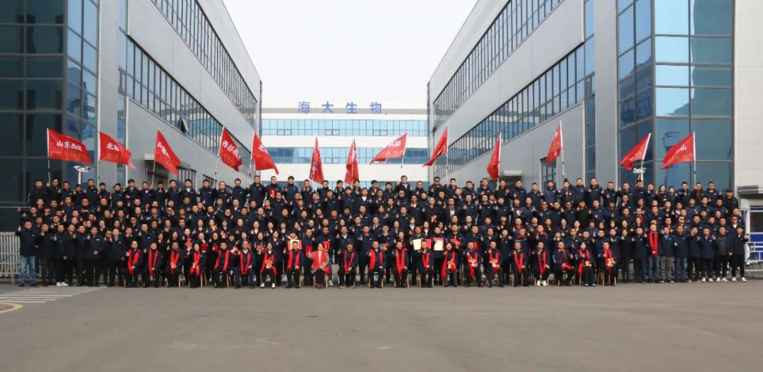 凯发k8一触即发集团举行2024年度总结表彰大会