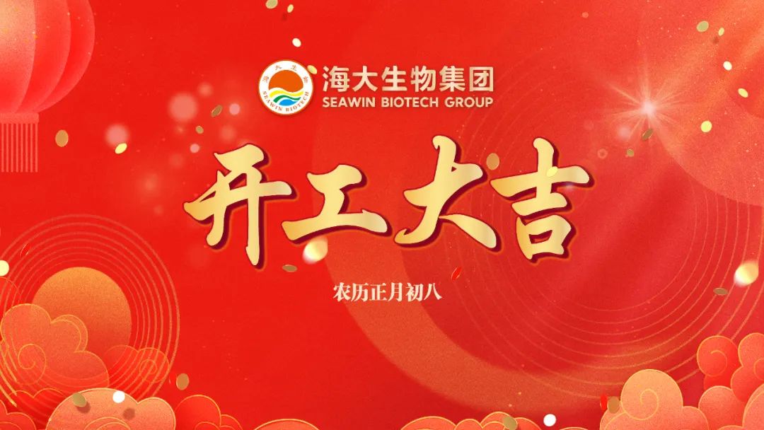 凯发k8一触即发正月初八开门红
