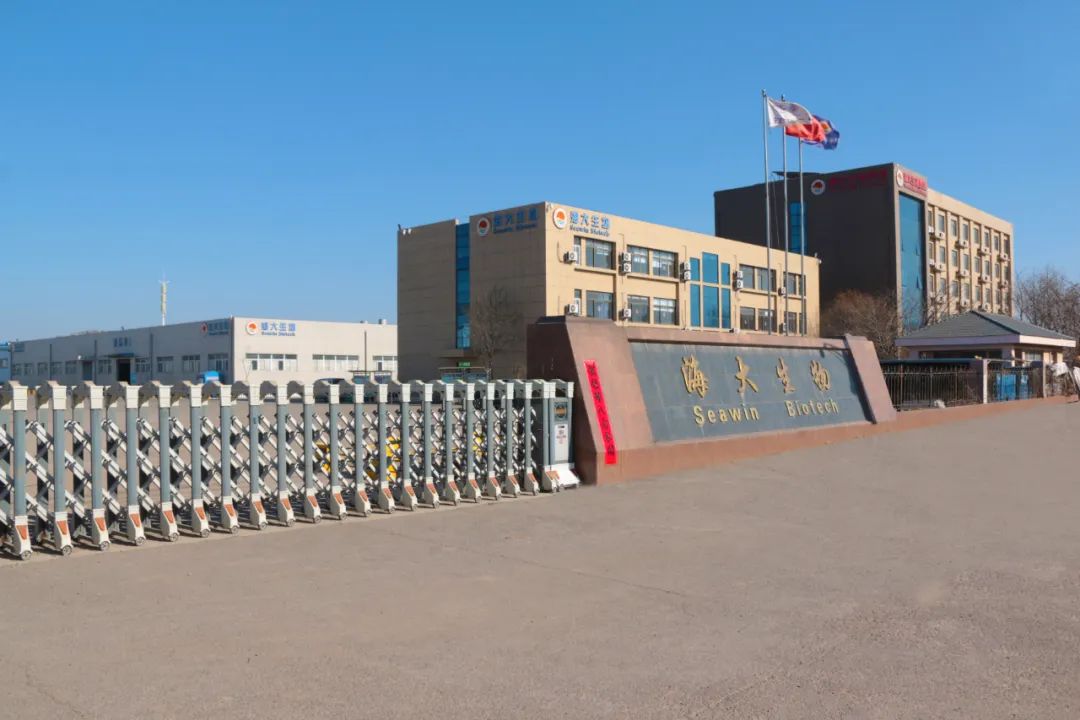 凯发k8一触即发正月初八开门红