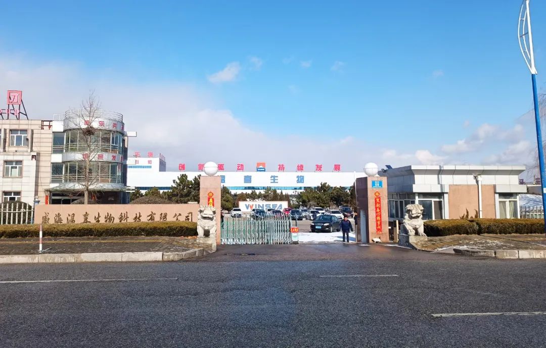 凯发k8一触即发正月初八开门红