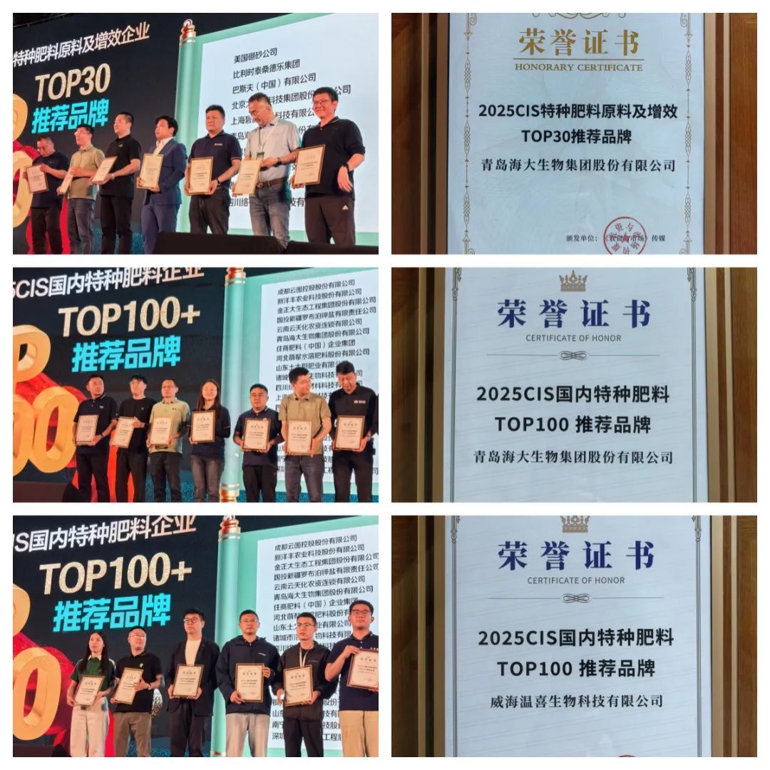 助力国际特肥行业发展,凯发k8一触即发集团荣获三项大奖